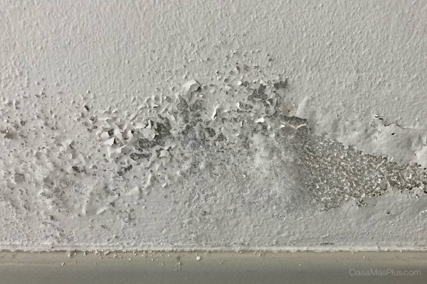 Guía básica para detectar humedades en casa antes de que se agraven