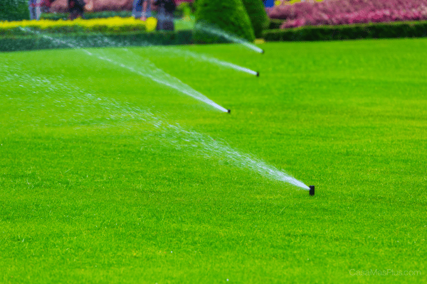Sistemas de riego automatizado en jardines residenciales: eficiencia y ahorro real