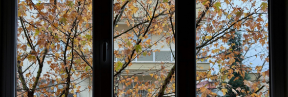 Ventanas inteligentes: control de luz y temperatura sin persianas
